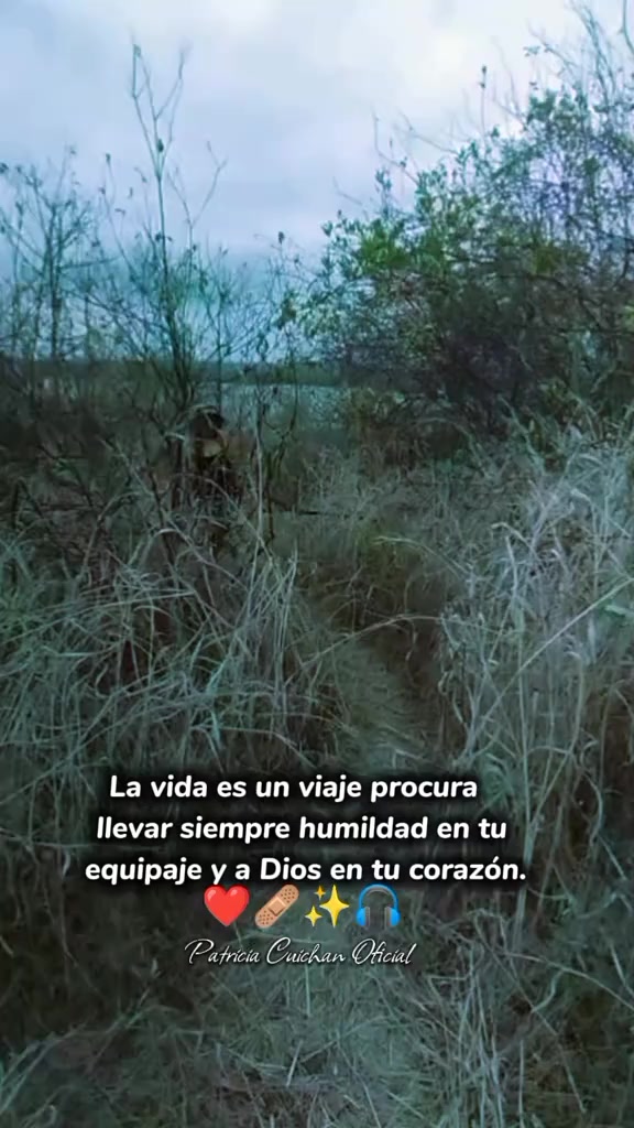 @Patricia Cuichan - Oficial