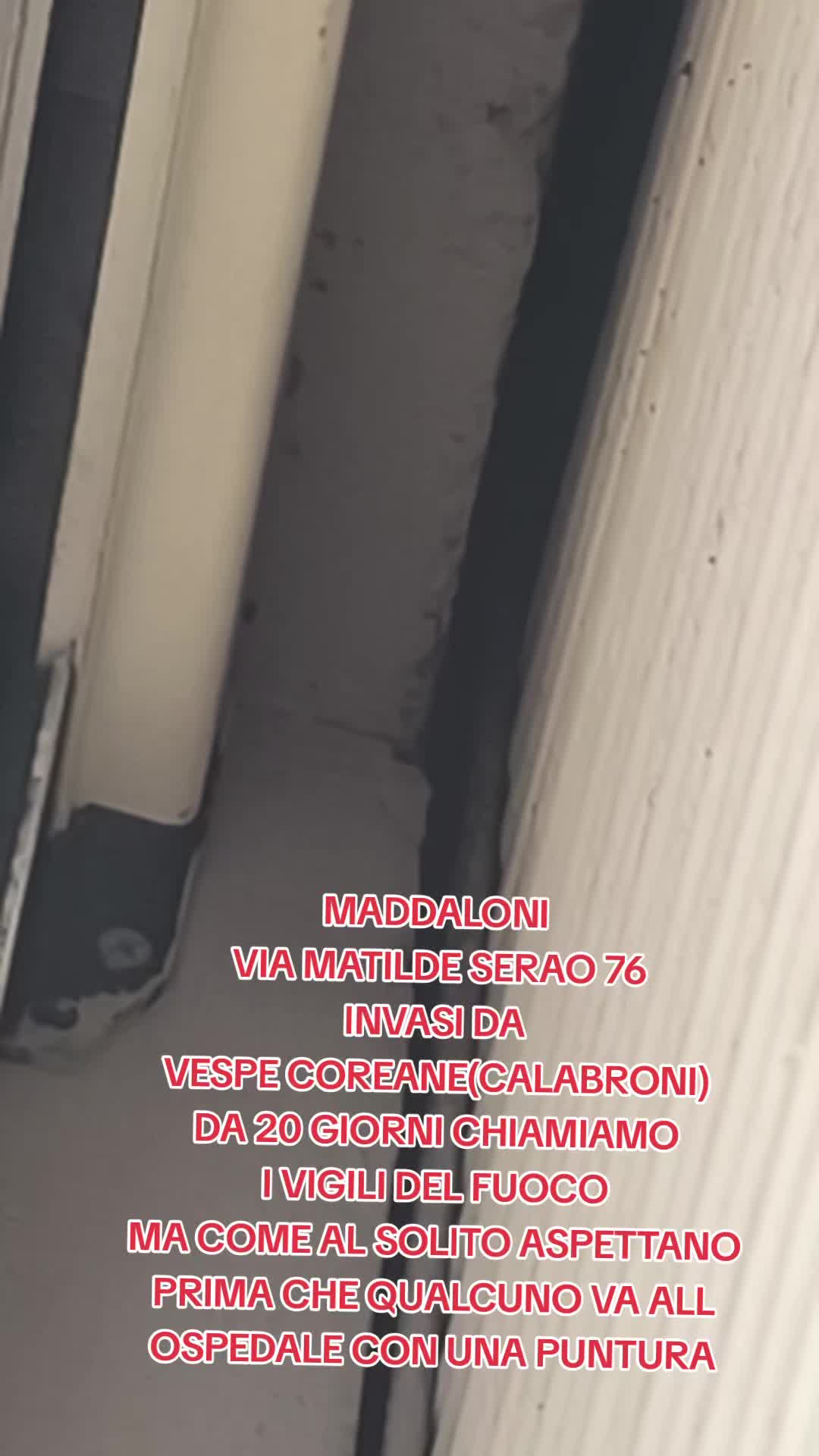 @peppeventrone77