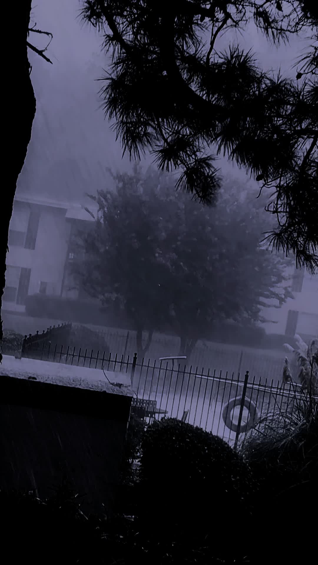 @𝔐𝔰. 𝔐𝔬𝔯𝔫𝔦𝔫𝔤𝔰𝔱𝔞𝔯ོི