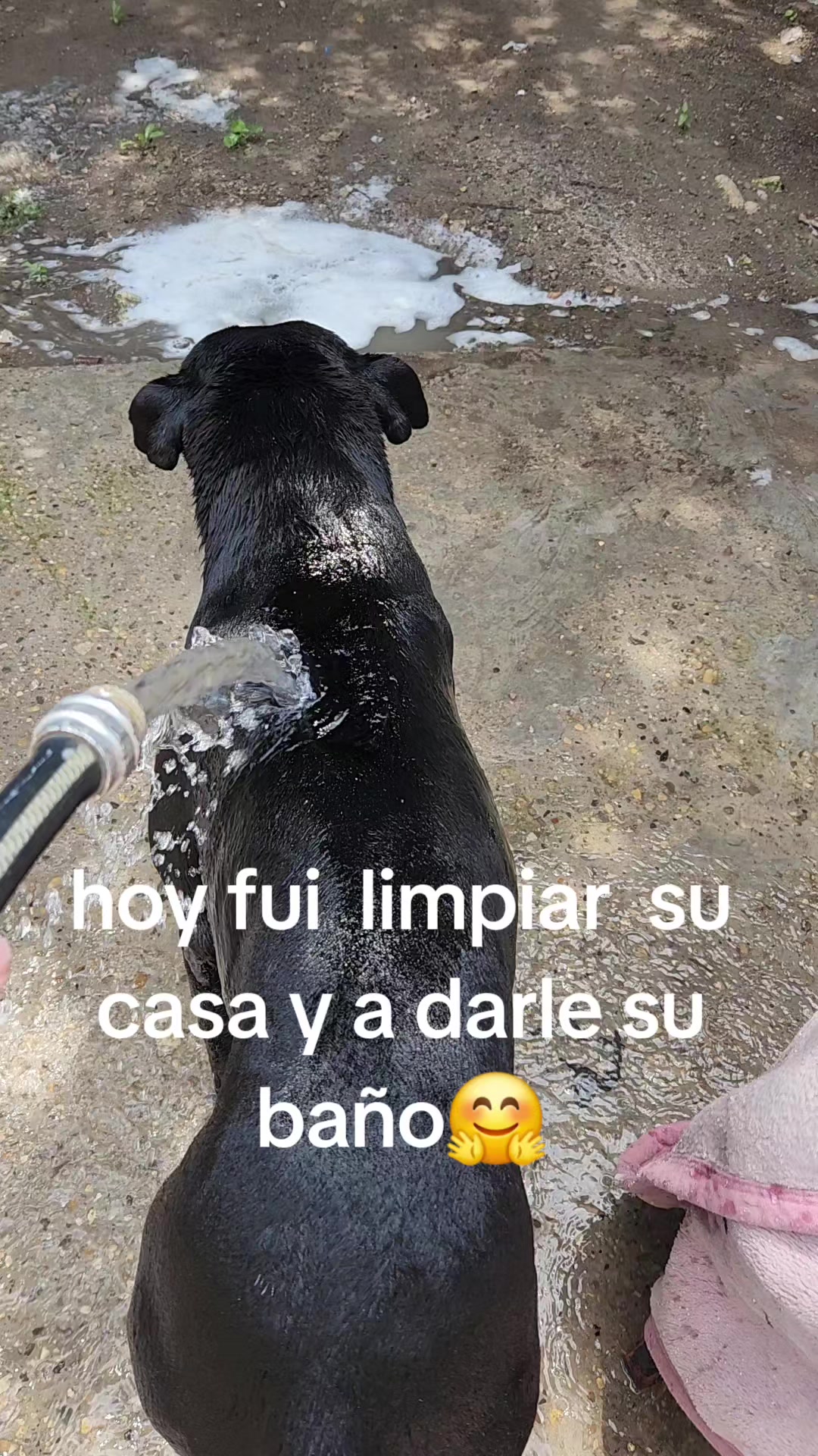 @Alma González