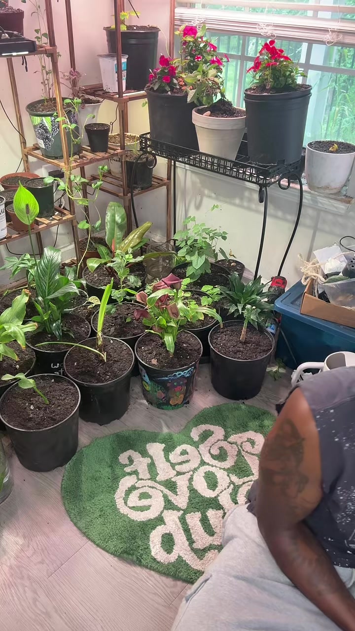 @Plant daddy Sir