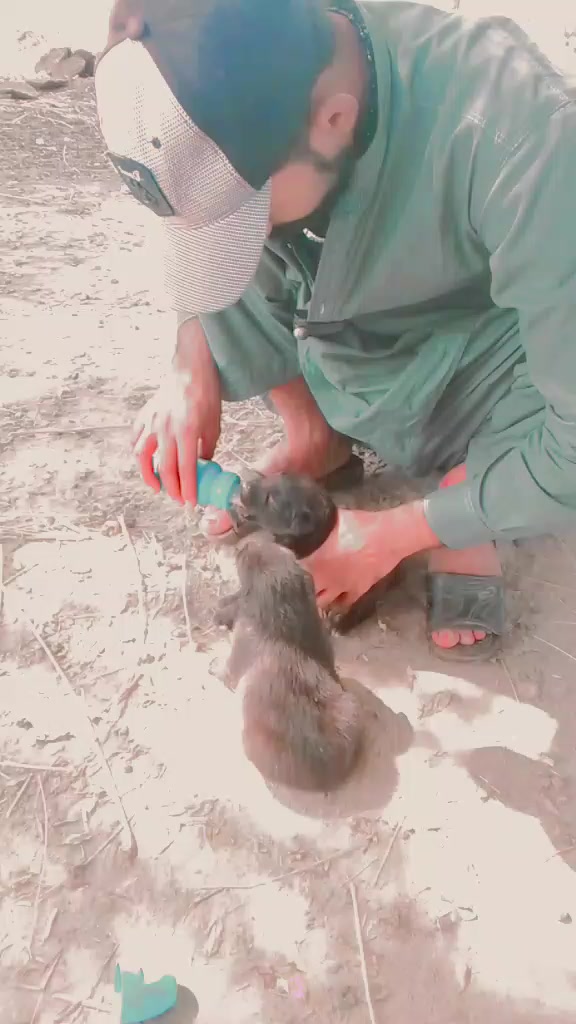 @Zaini ladla🪑🪑