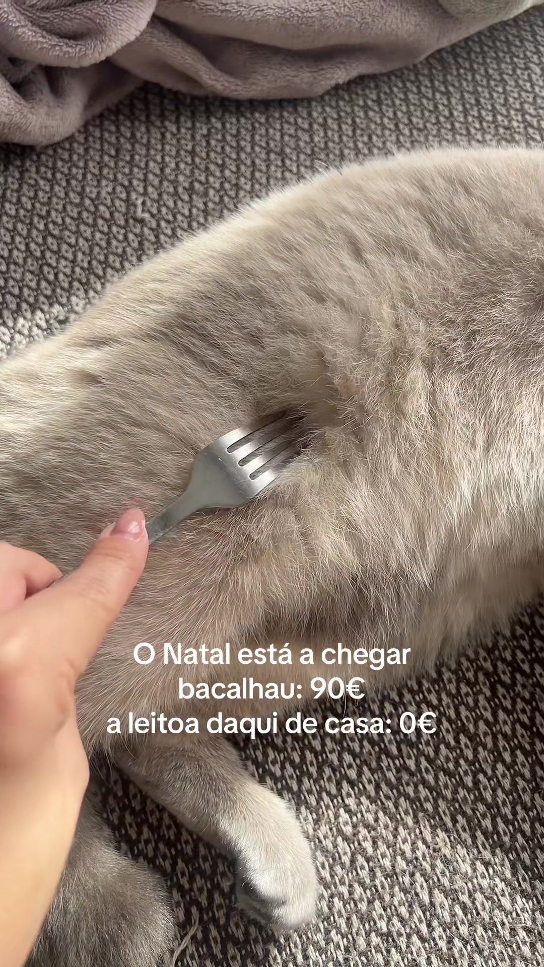 @Gina Teixeira