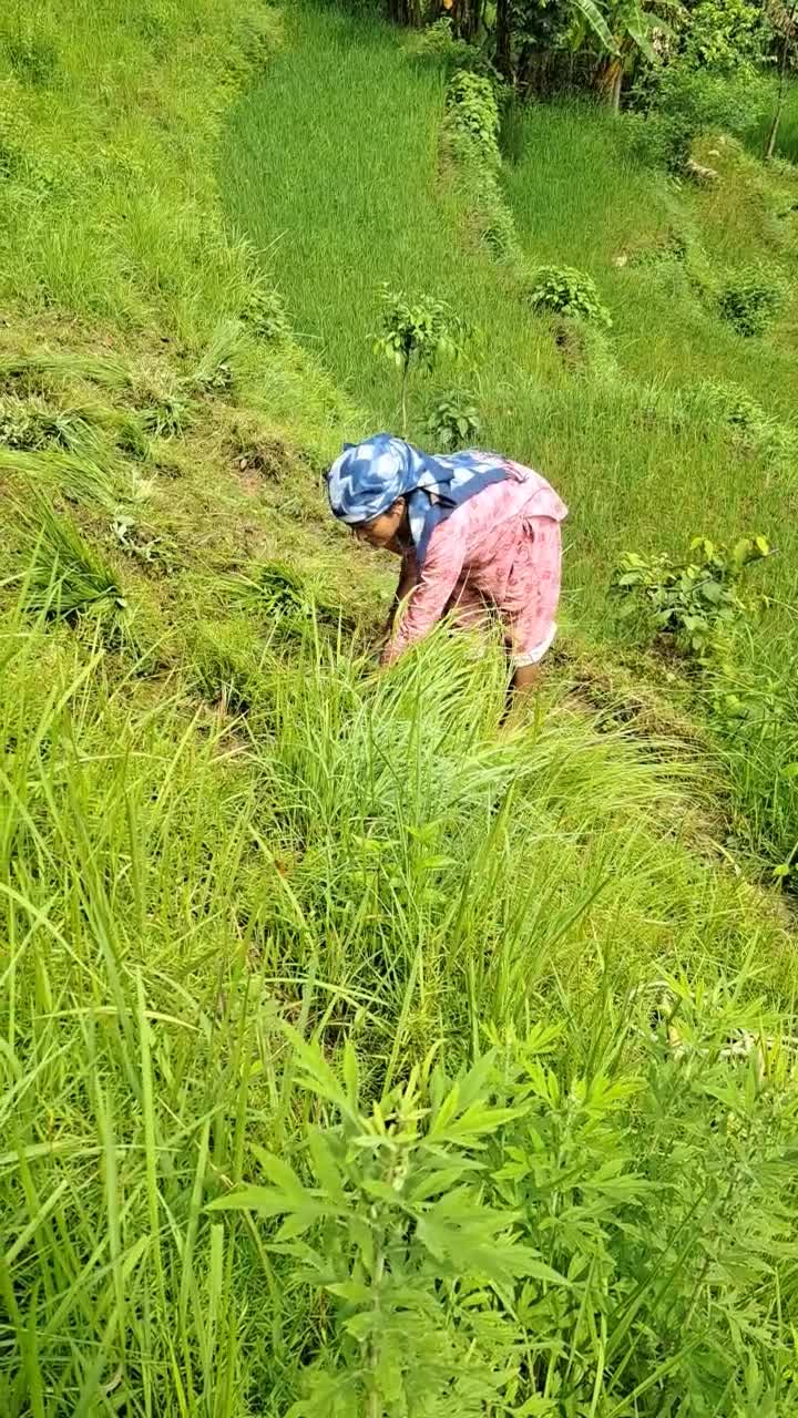 @krishna Bista oli❤️