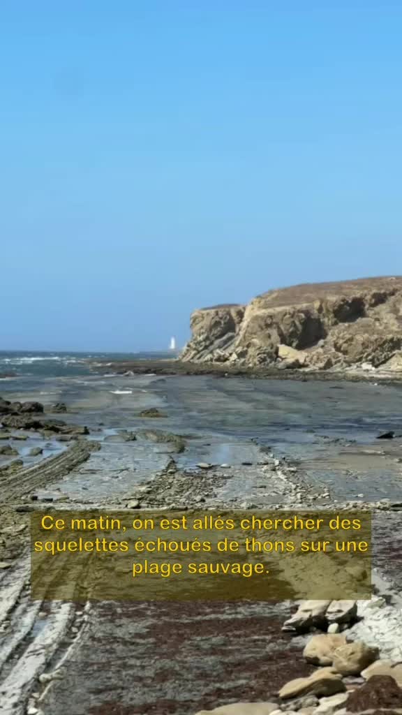 @Avec mes âmes libres