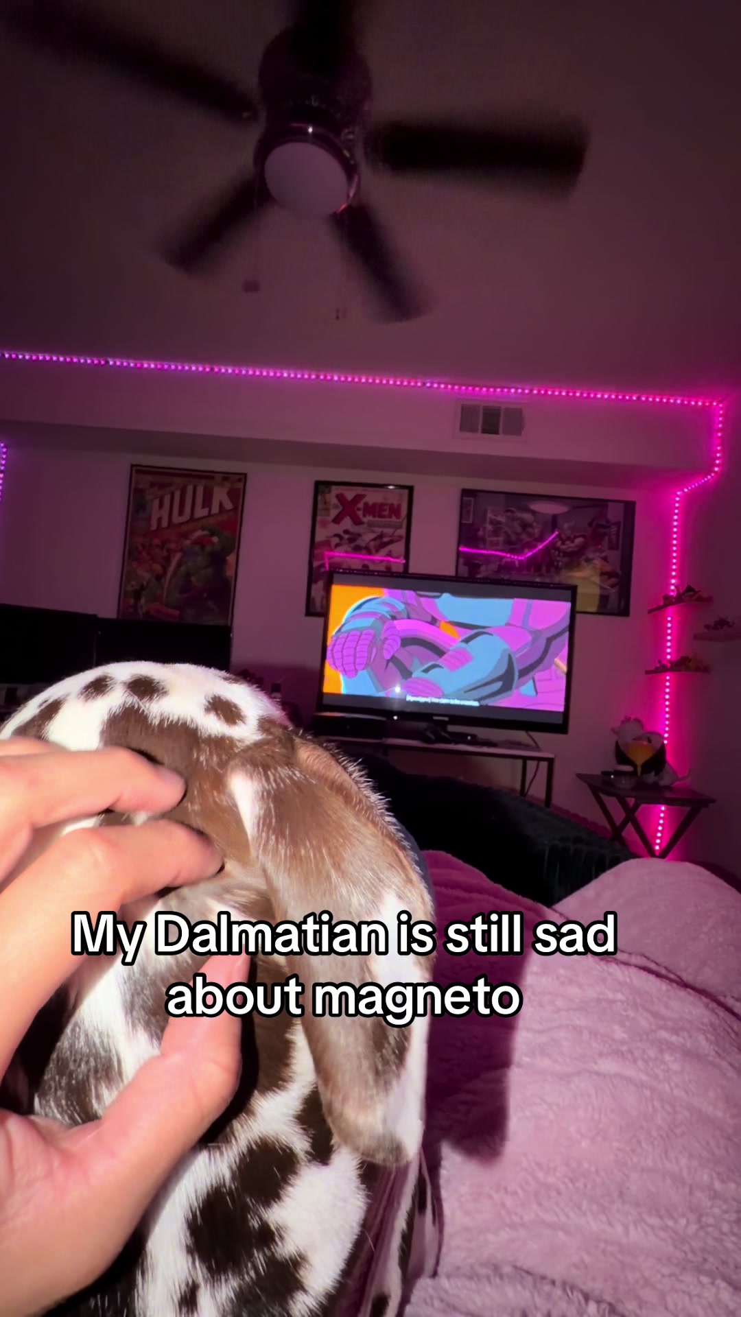 @Corinne Olivia
