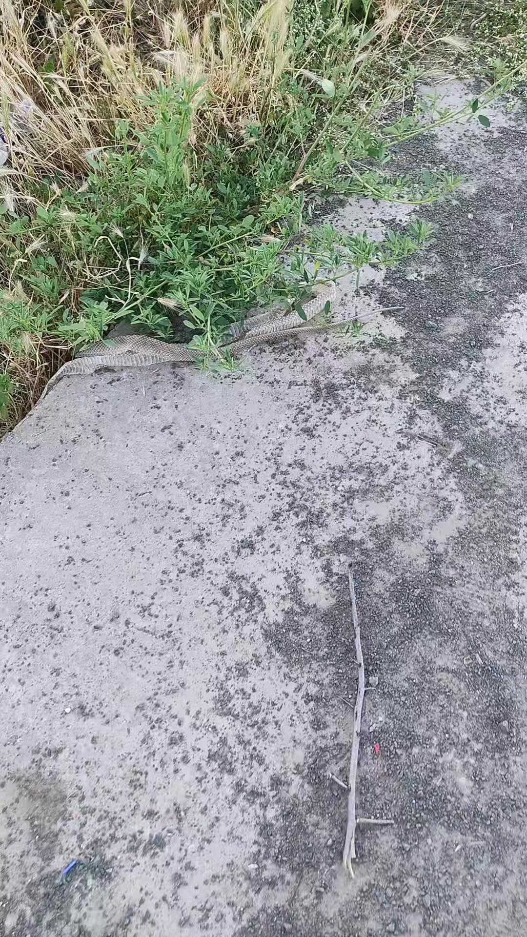 @Будьте щасливі