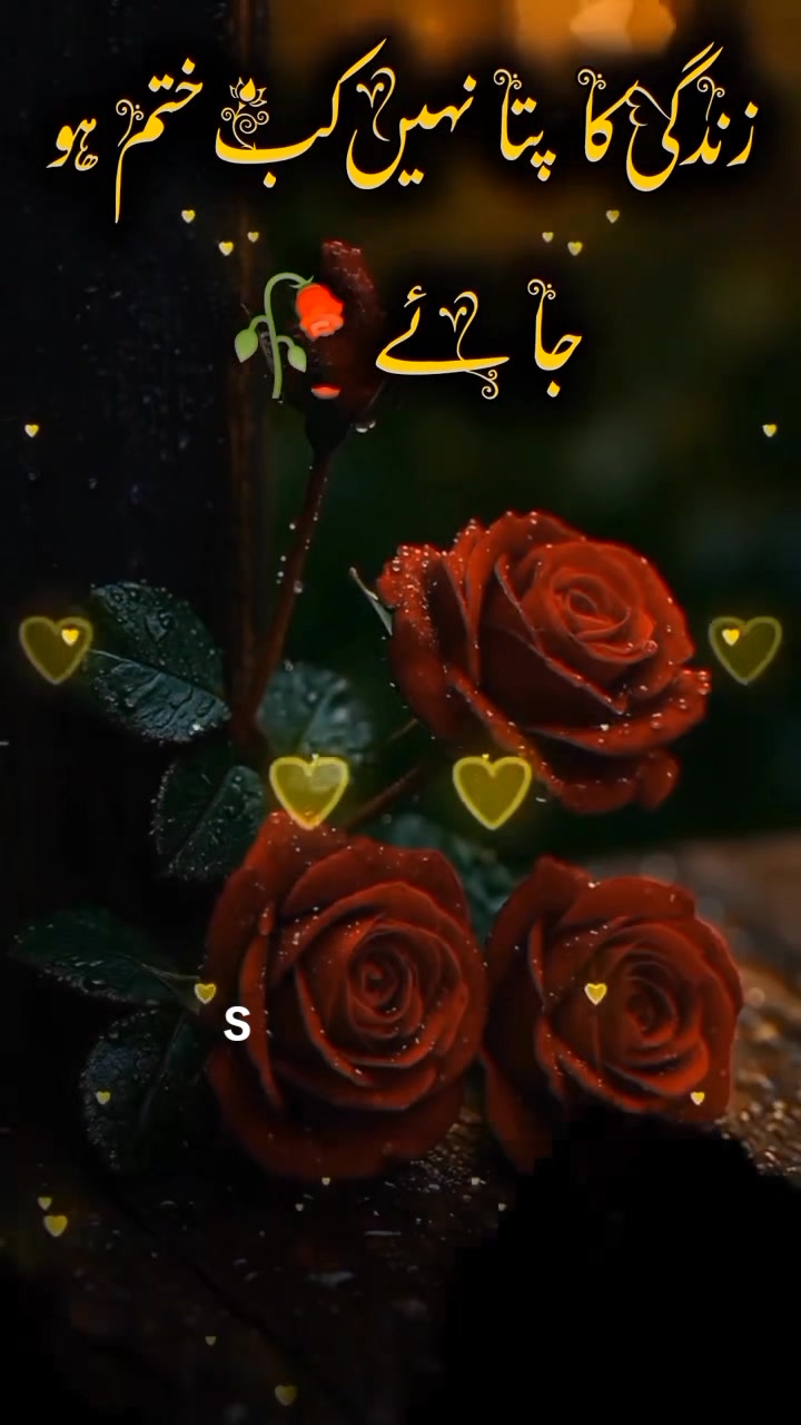 @Shan Ali