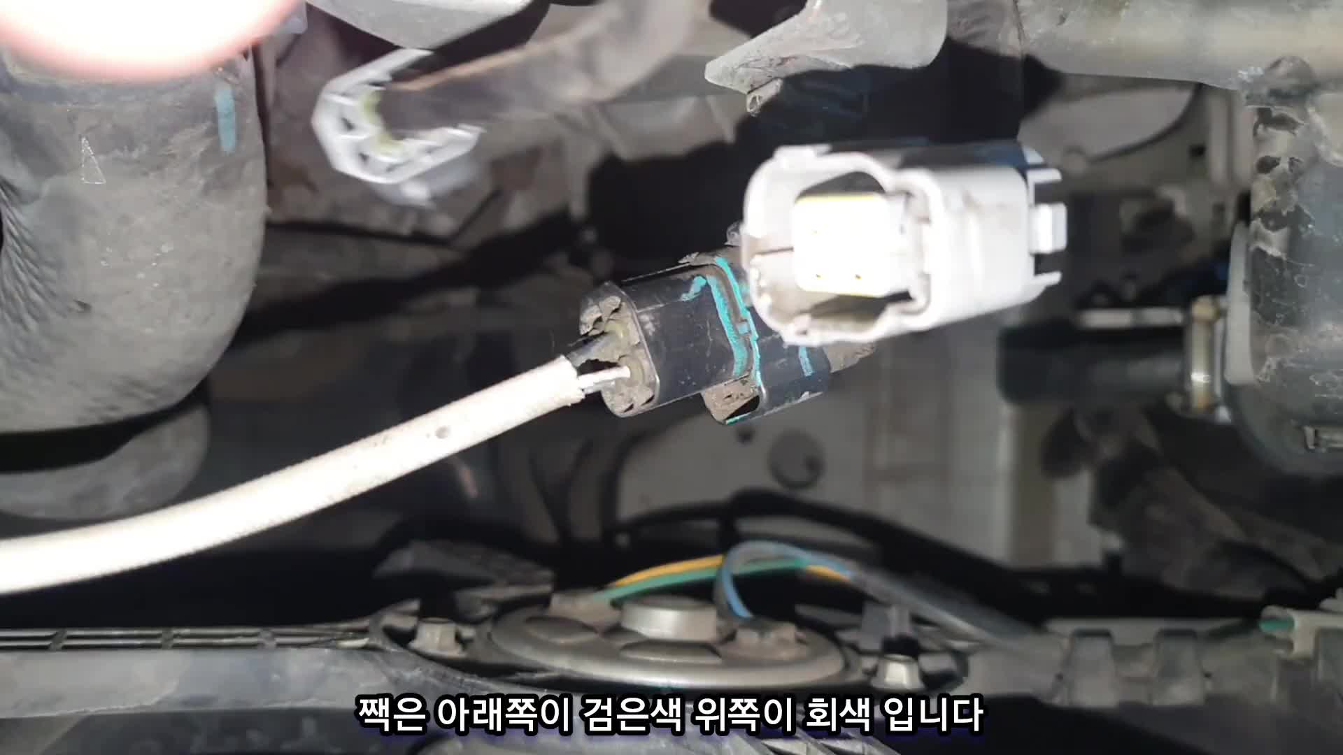 @귀여운친구