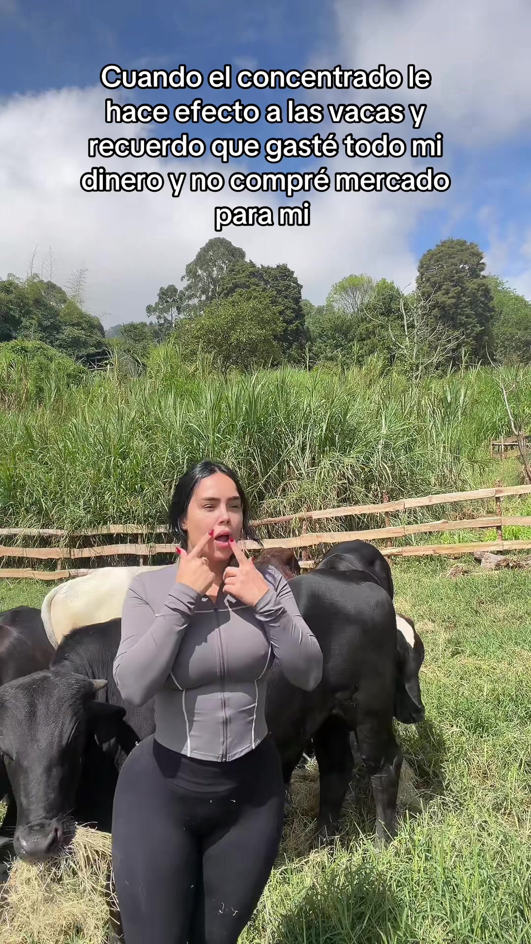 @Eli L&oacute;pez 🦜 team periquito 🫀
