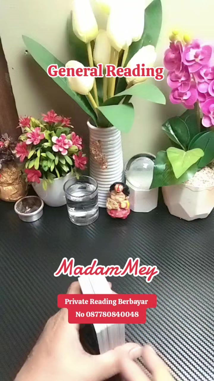 @🇲🇨MADAM MEY🇲🇨