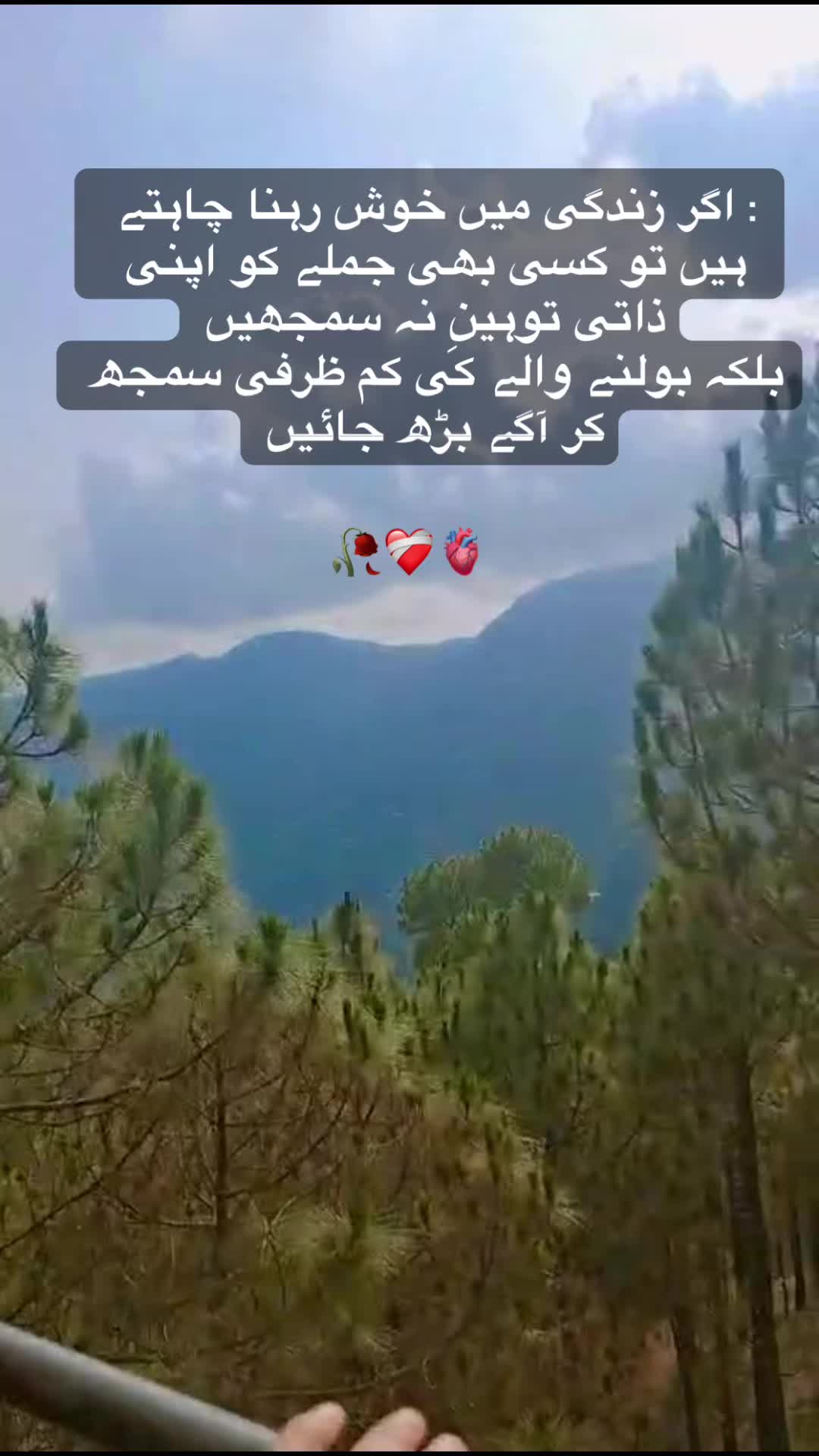@iqman800