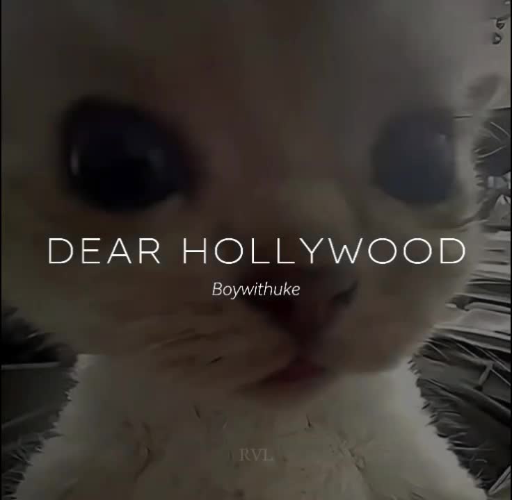 @Rvl