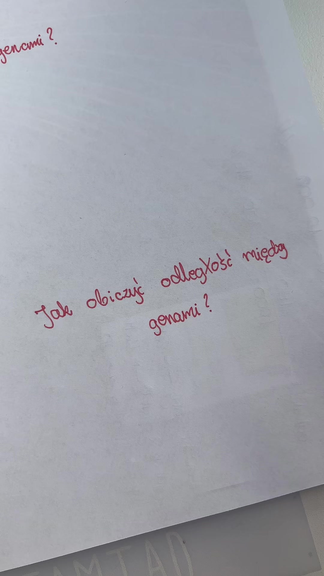 @martina.and.study