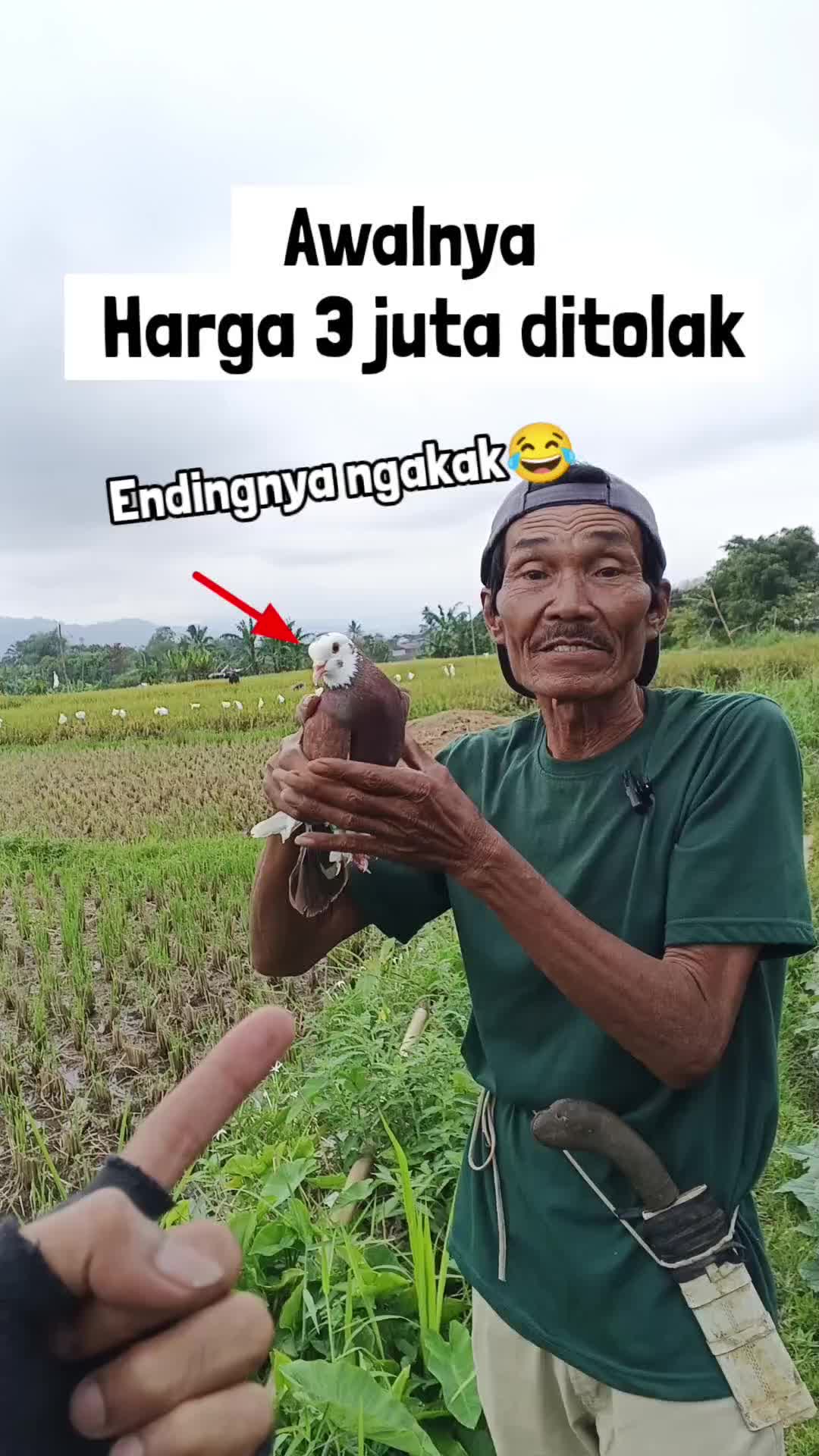 @BANG LEYON