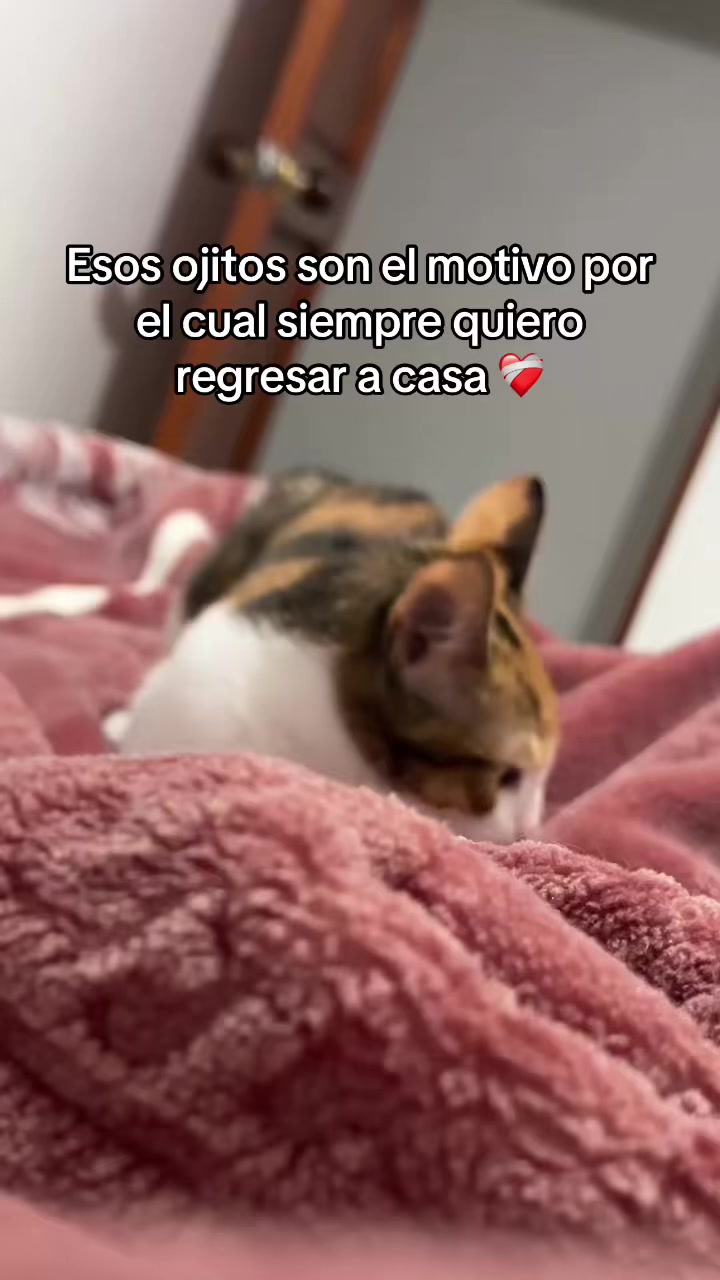 @🥀Pauli Pauli🥀