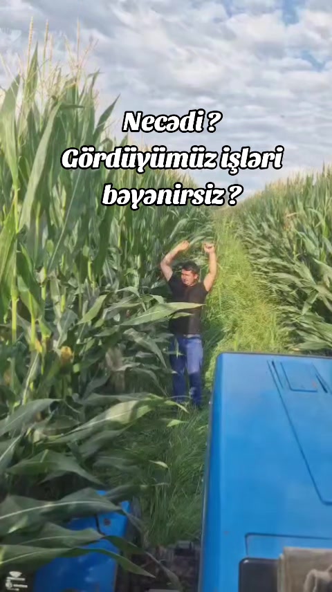 @azer313