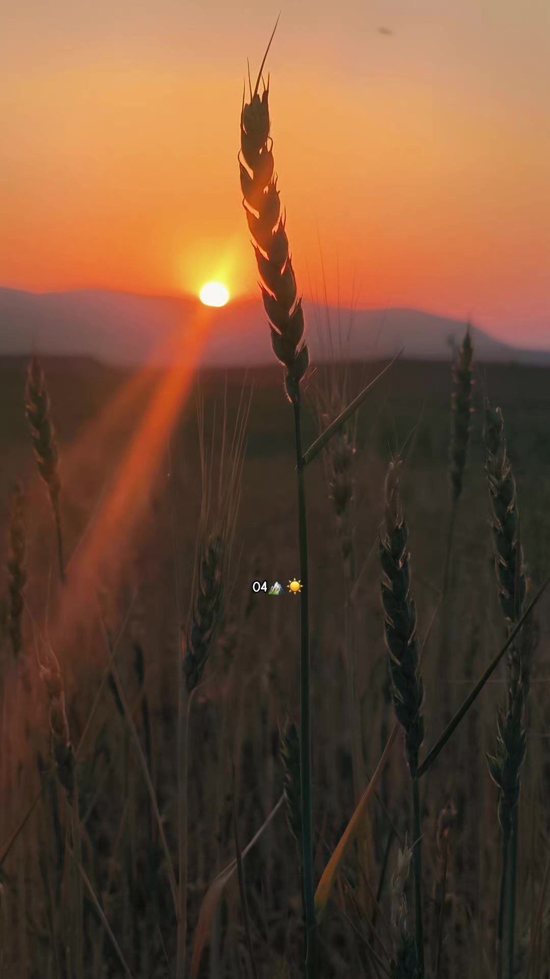 @SAMİ G&Uuml;NEŞ