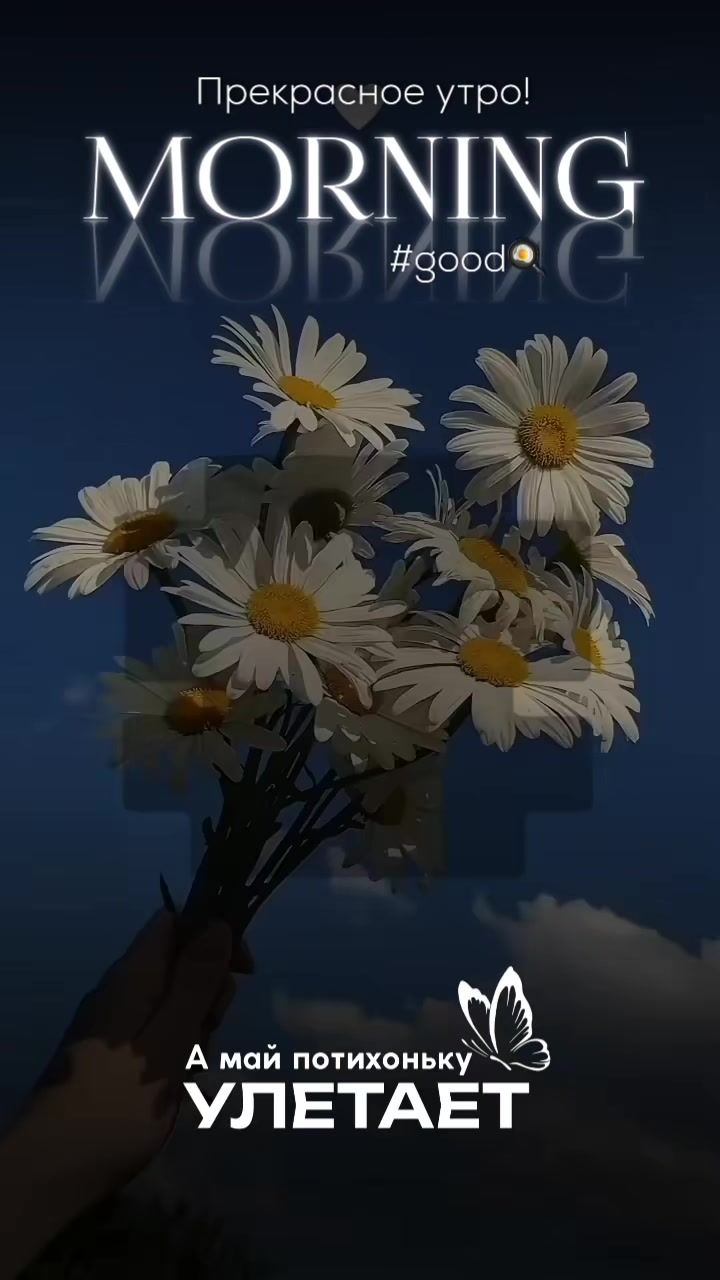 @☆꧁✬◦.𝒱.𝒮𝒽 .✬꧂☆