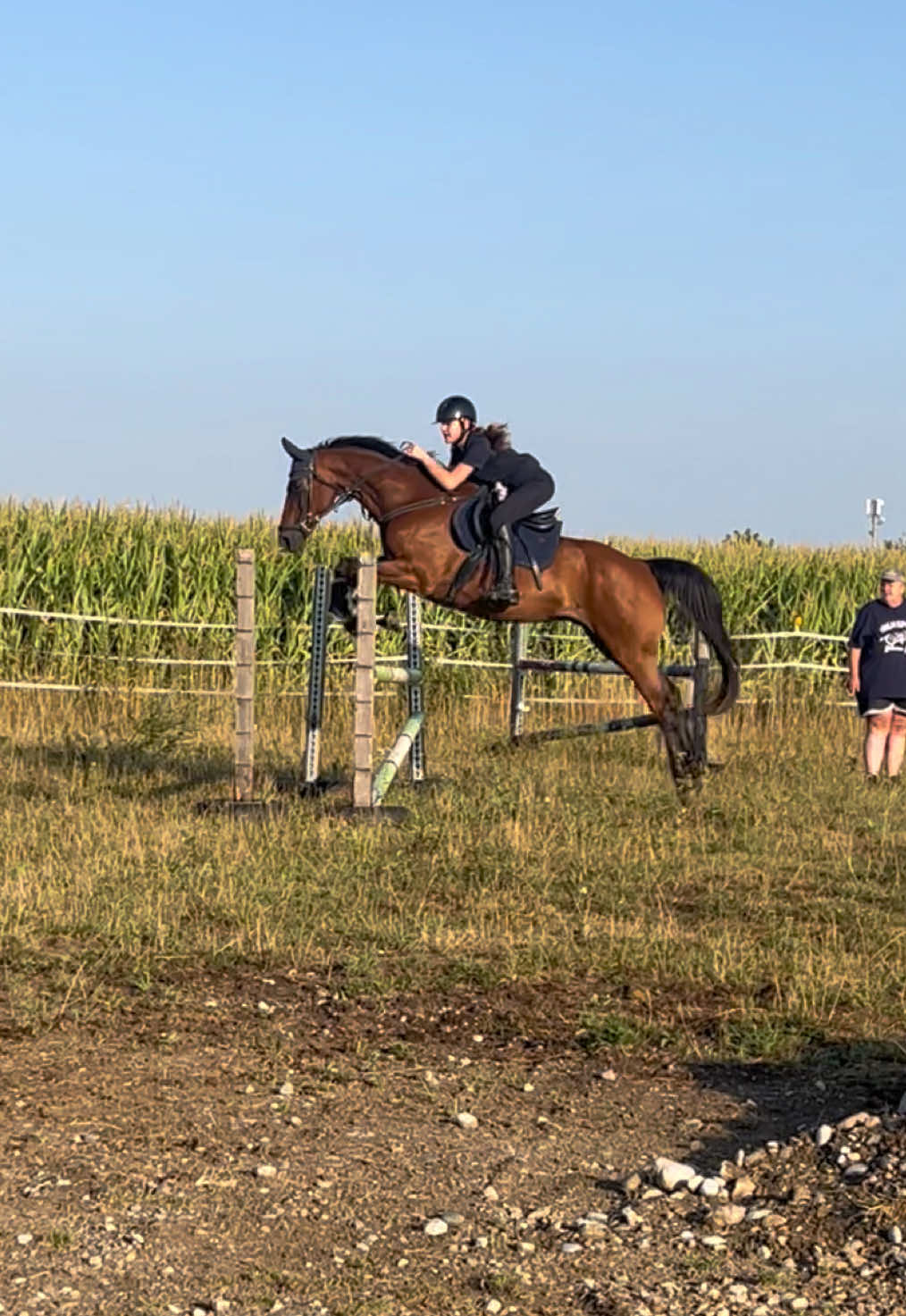 @herzenspferd_pearly
