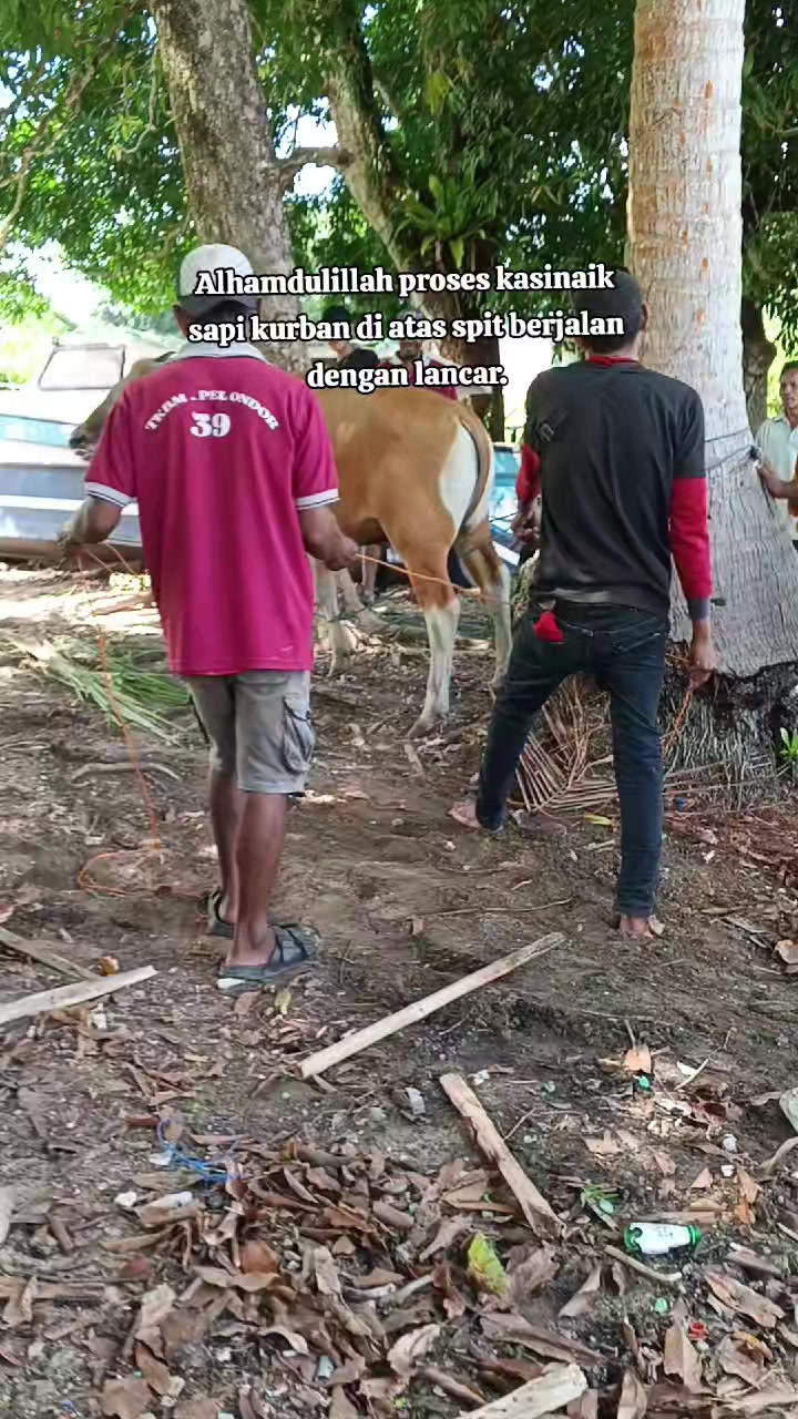 @D. s