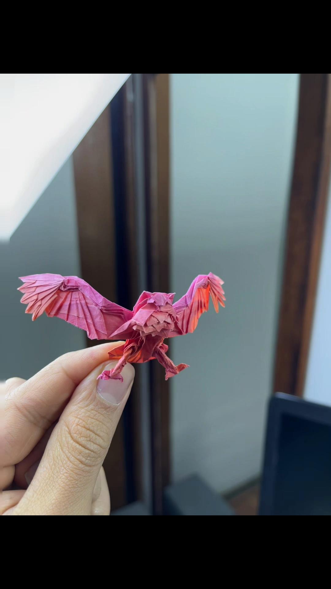 @Regalos en origami | bogota