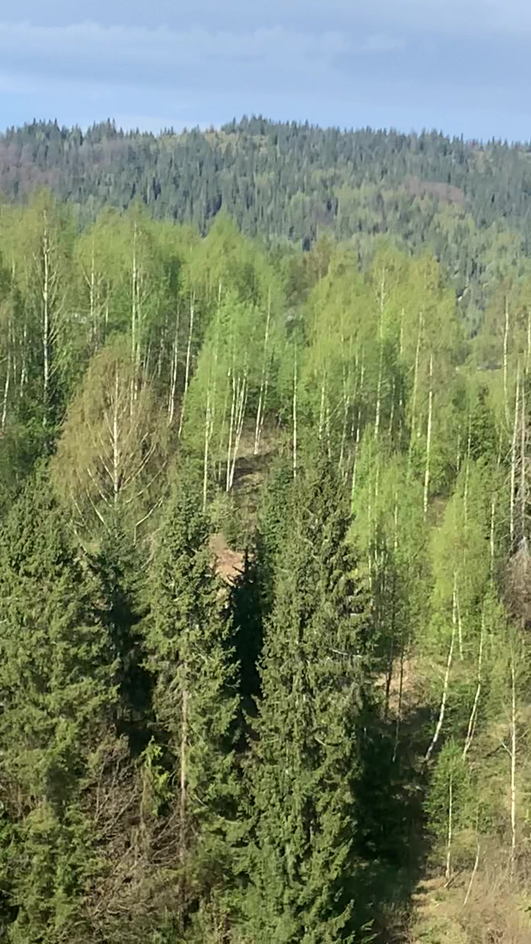 @vasil_piniv