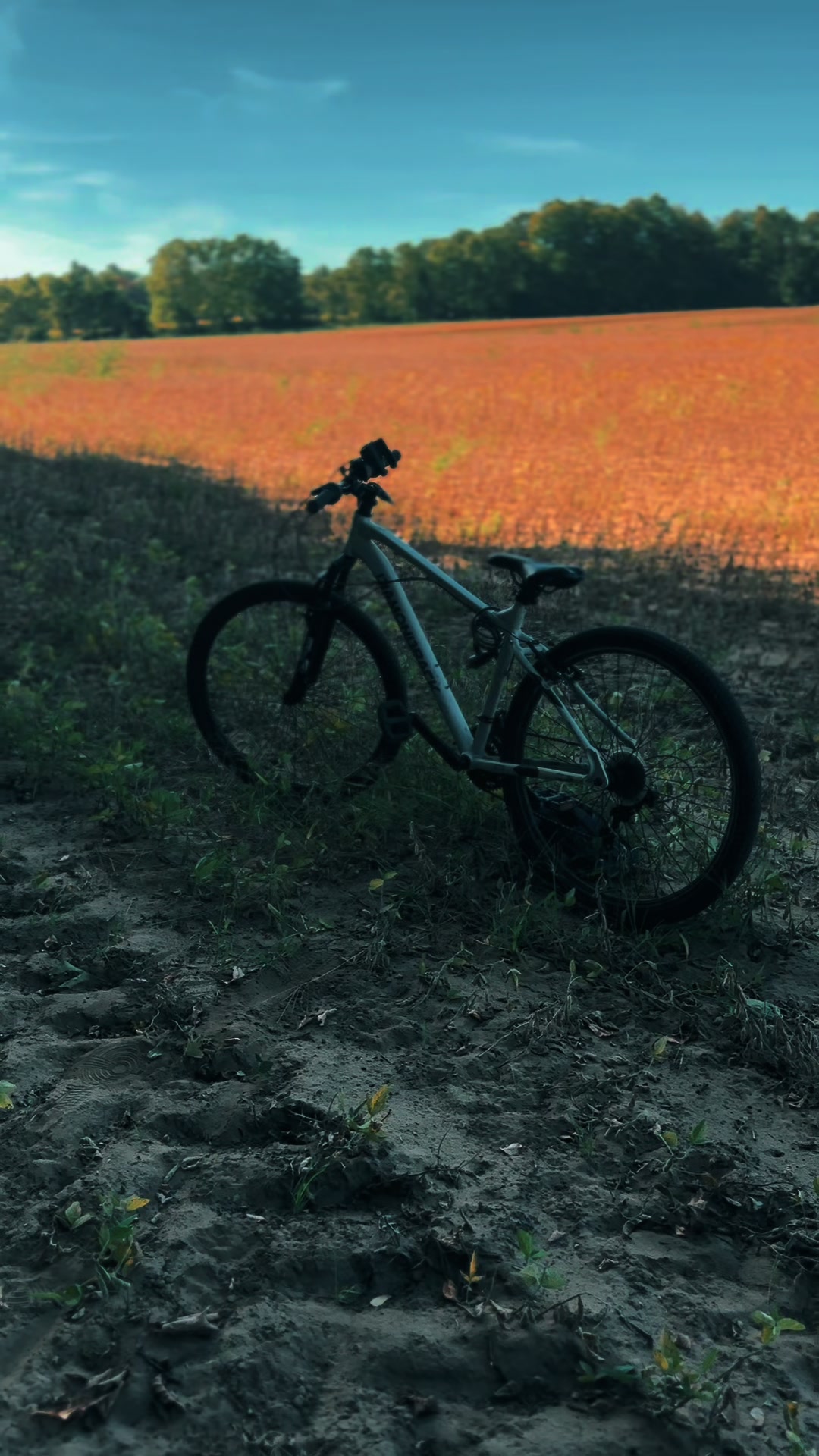 @✝️Michael_Likes_Bikes✝️