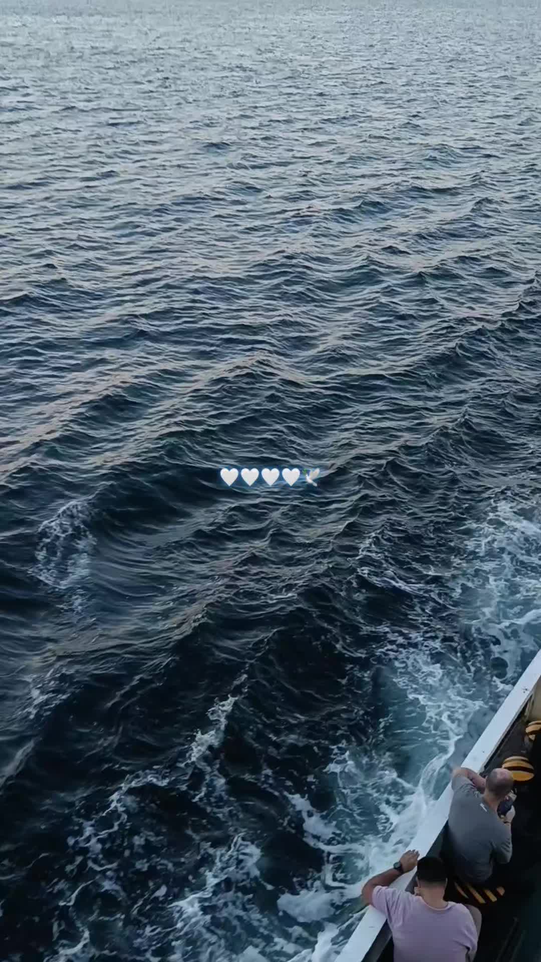 @♯̶الـ حݪۅهههۃة 𝓕🌸