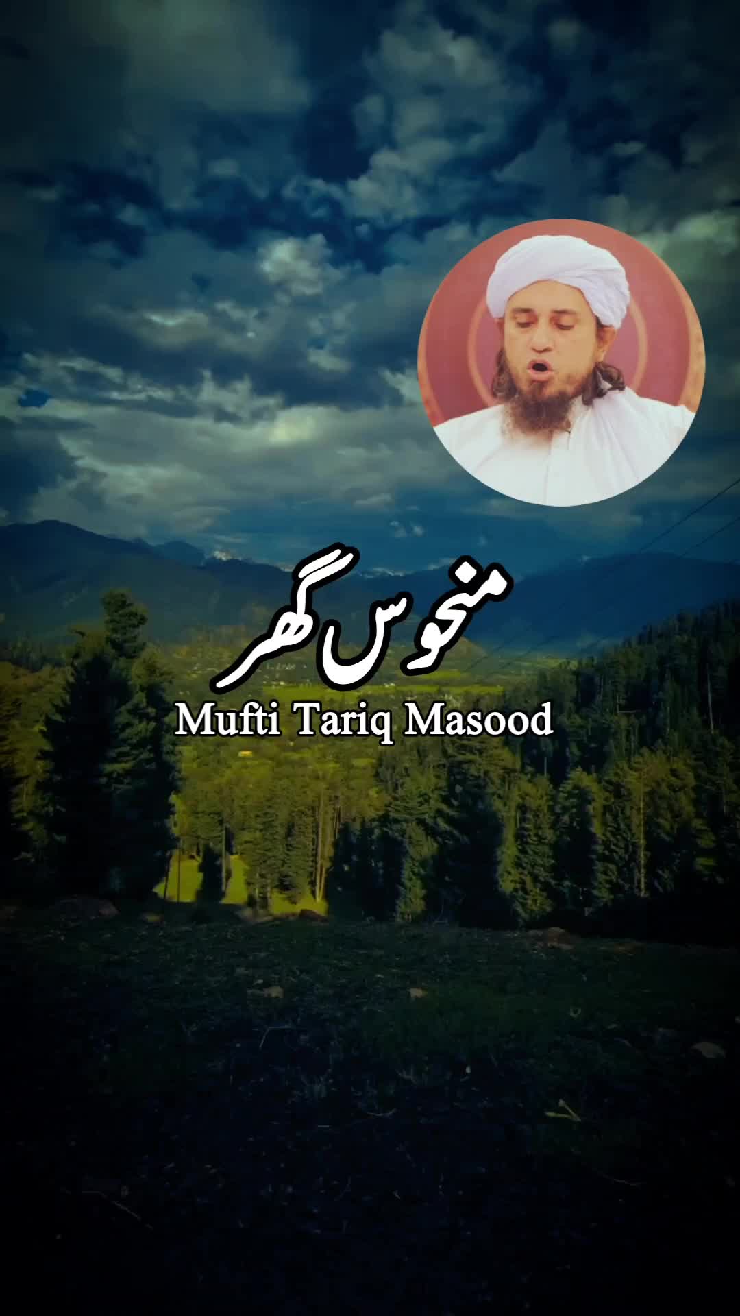 @zulfi khan