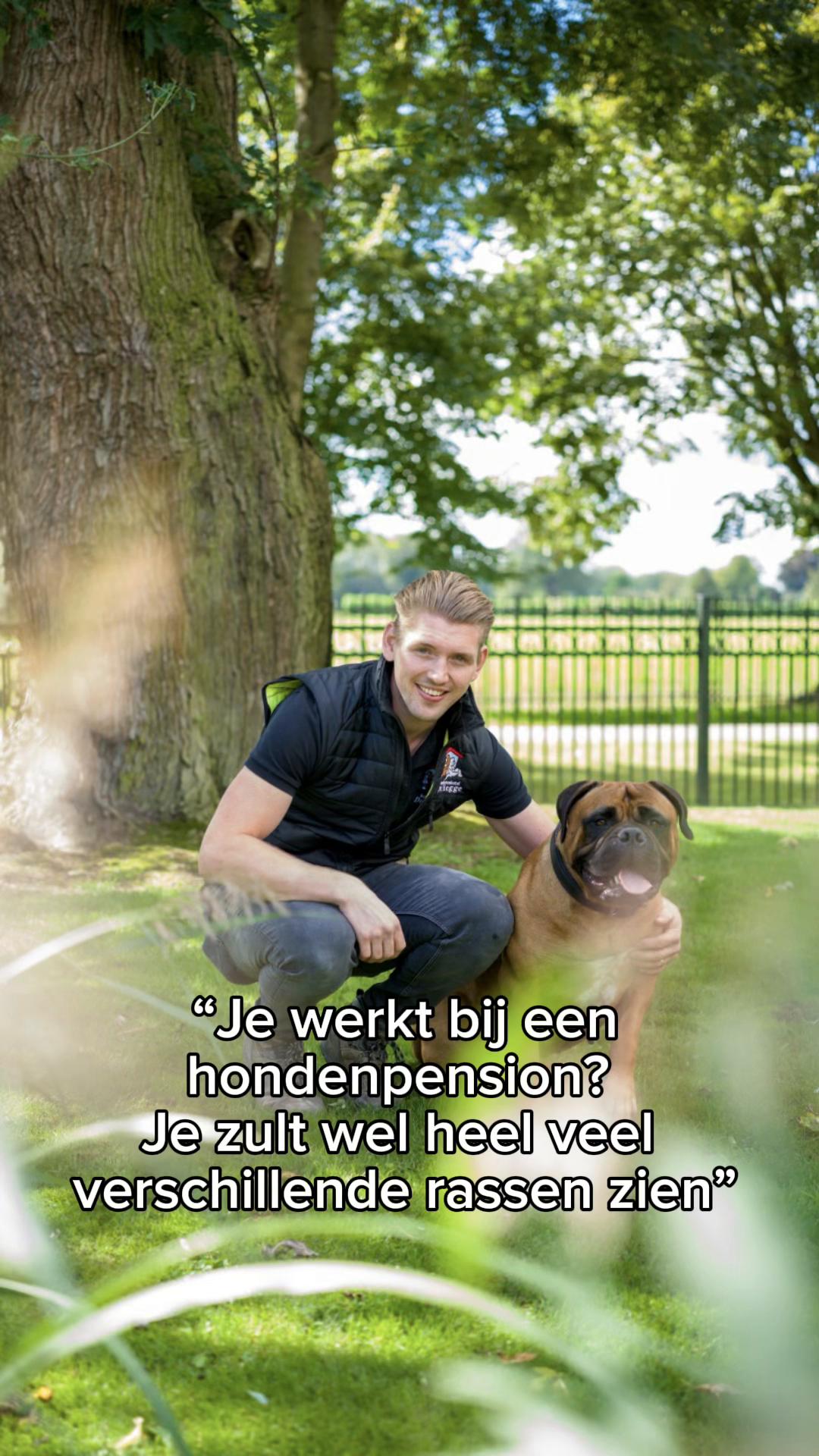 @HuisdierenhotelDeHeggeWeert