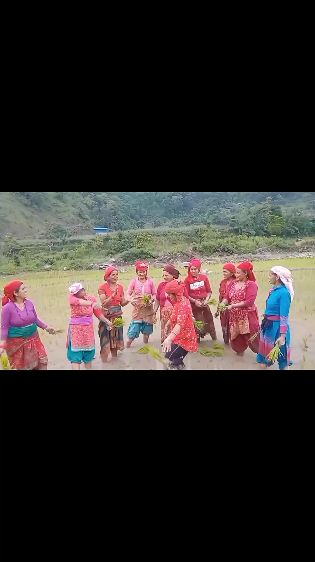 @चन्द्रकला पौडेल  गल्कोट.