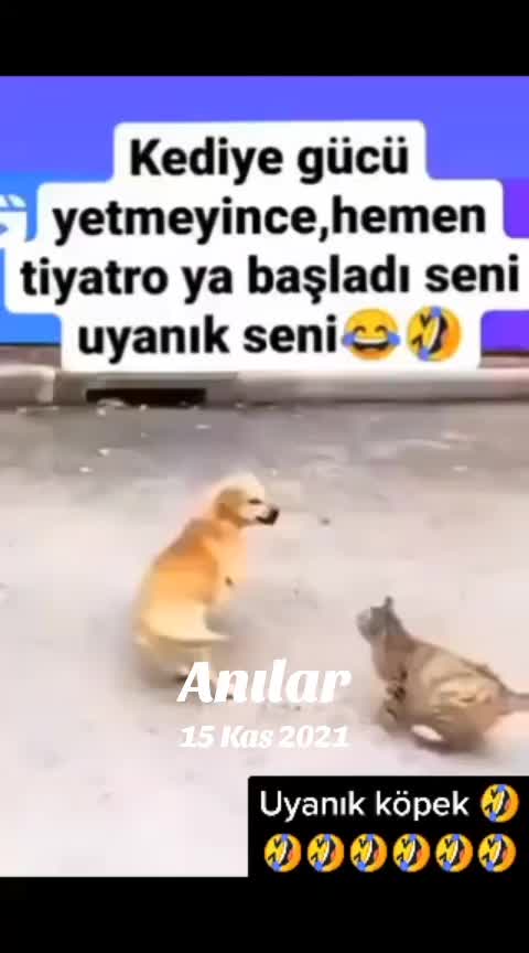 @๐ฅ๐๐๐๐๐๐_๐๐๐๐ผ๐๐๐ฅ