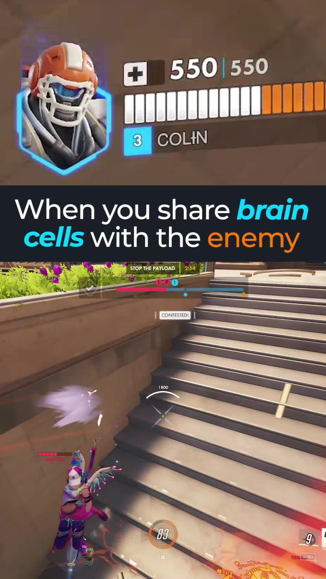 @colin the reinhardt