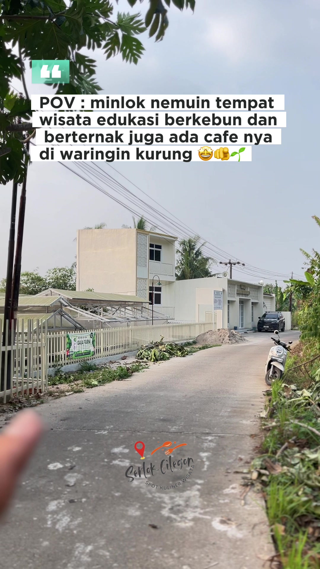 @serlokcilegon