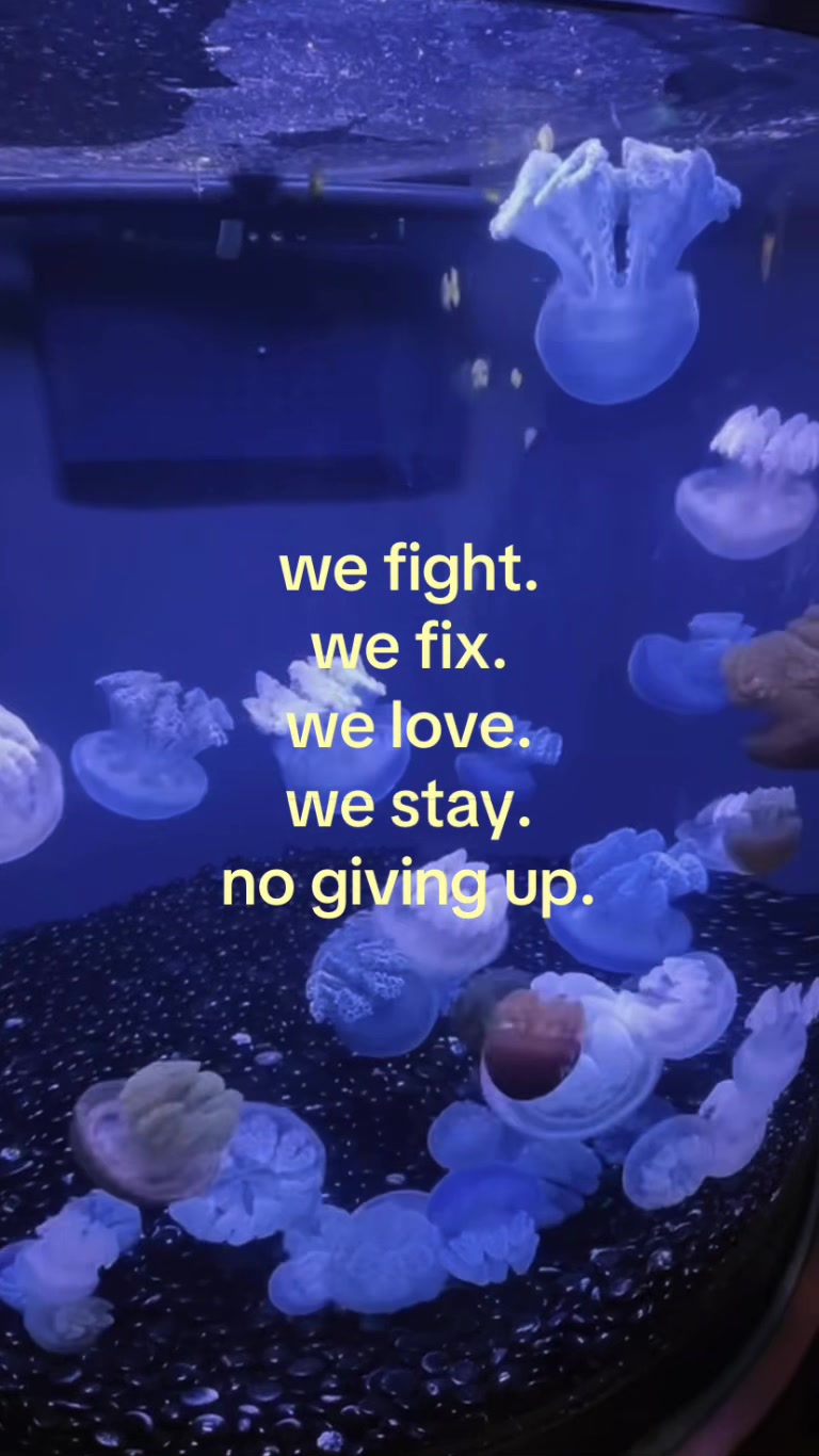 @𝓙.