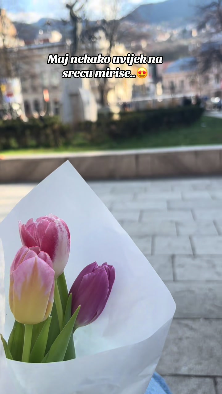 @Željana Živkovic
