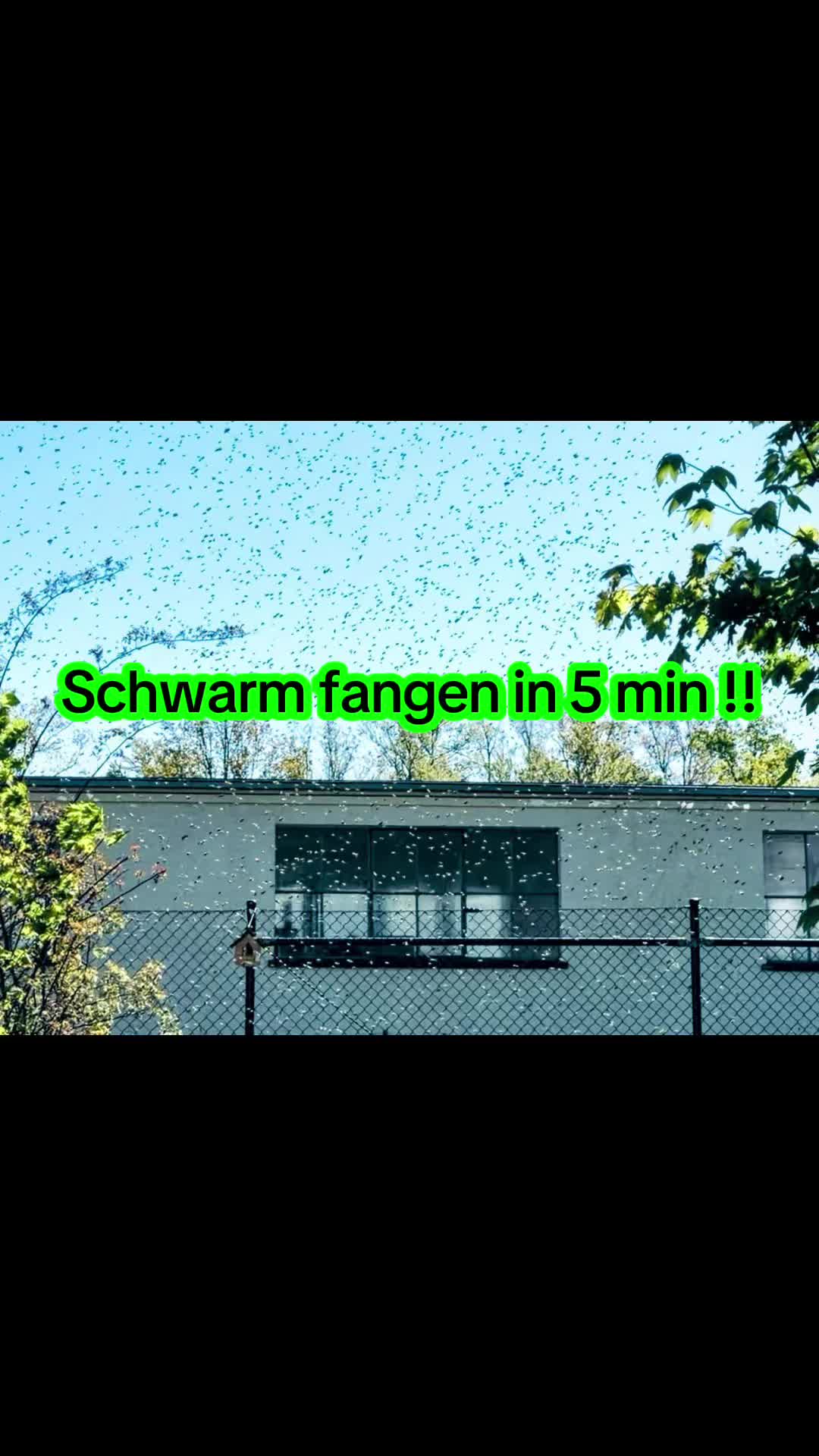 @Der Kuhninator