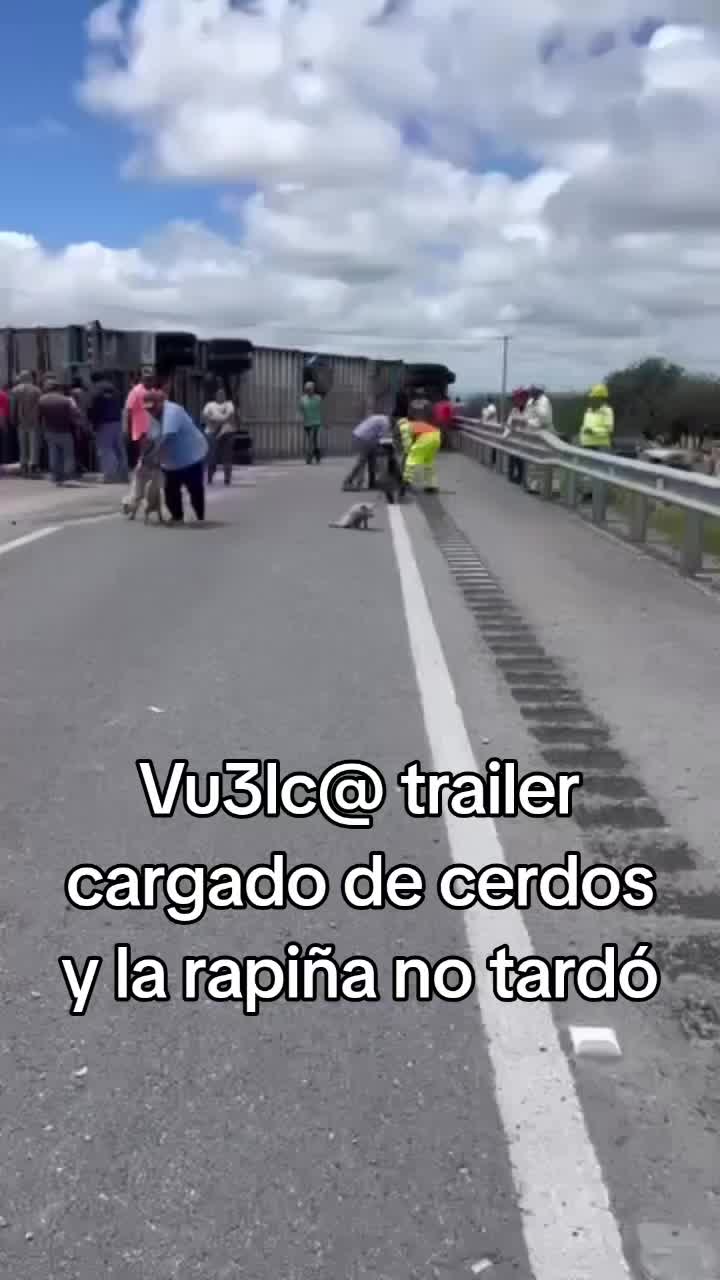 @elportaldelanoticia