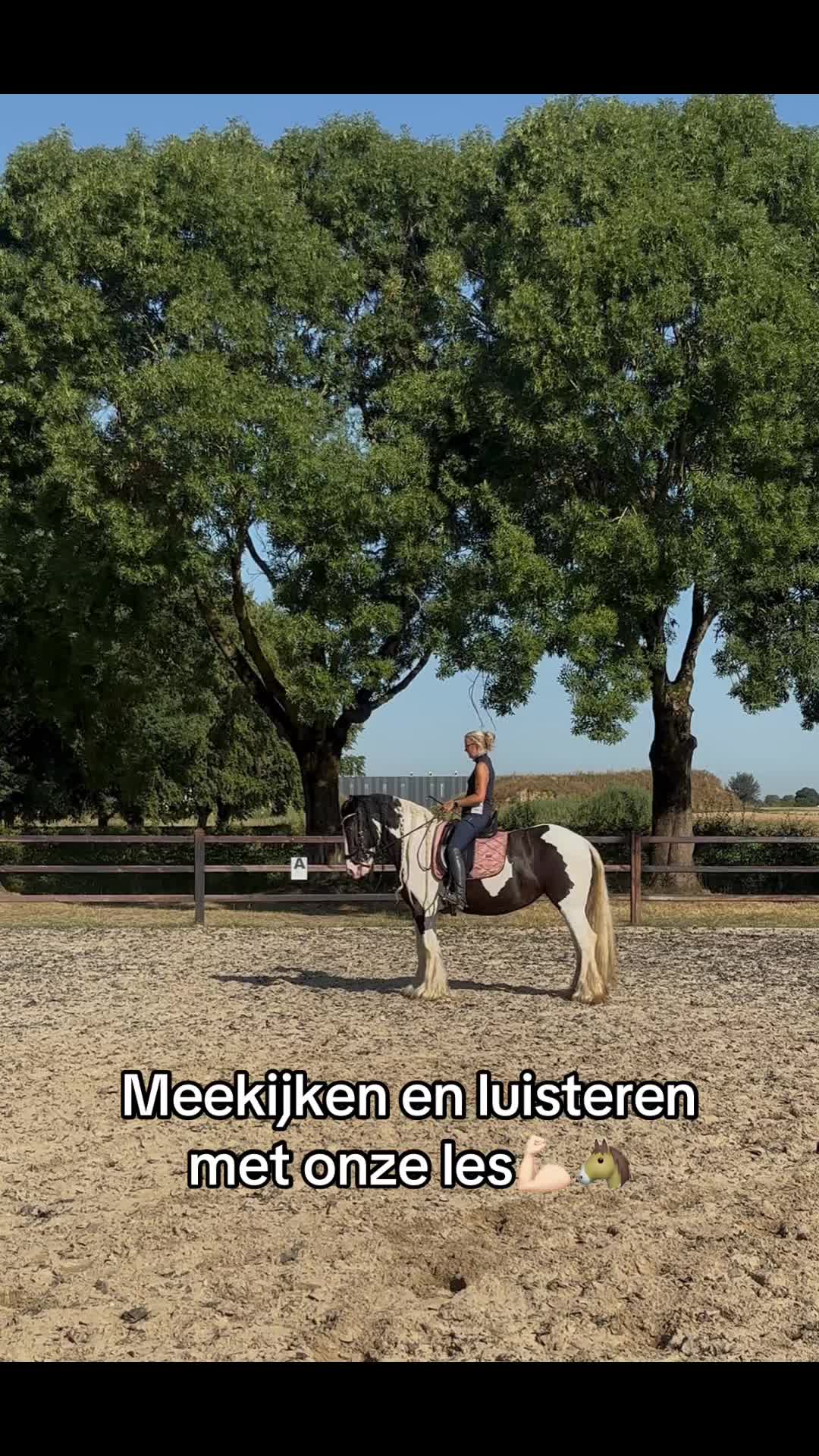 @Syrche Cordewener