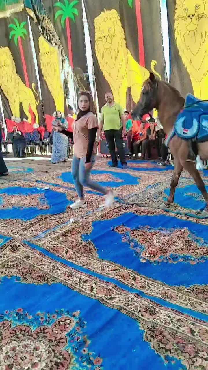 @الملكه شهد عبدالرحمن 🥇🐴&hearts;️