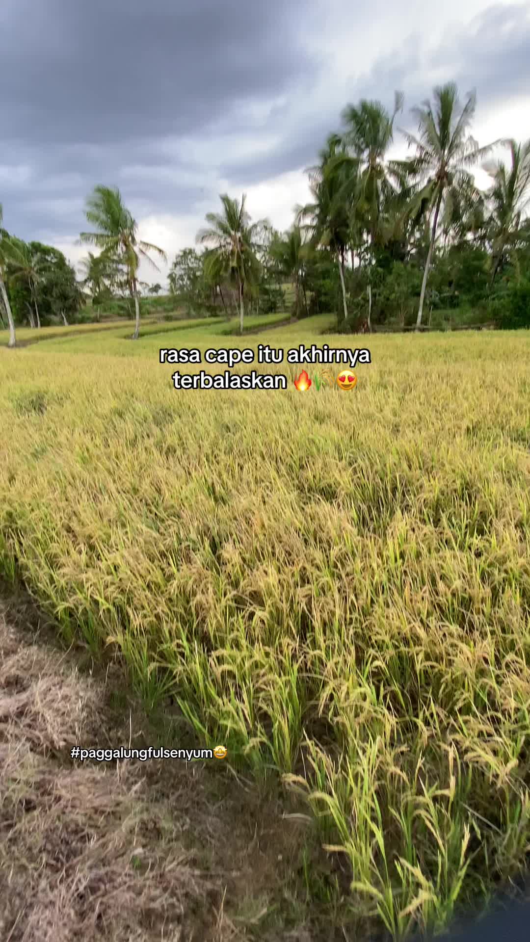 @Ail 02