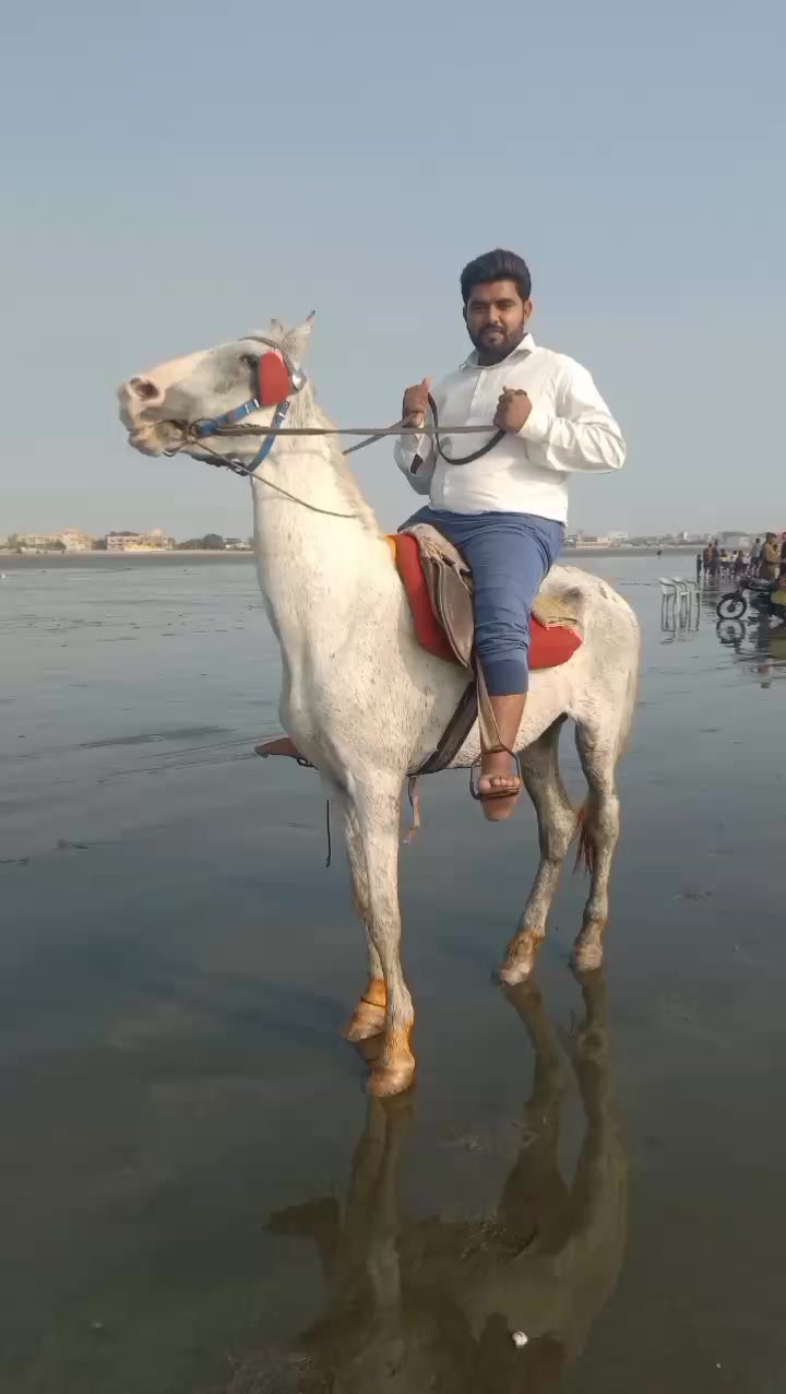 @Ahmadrazachishtian