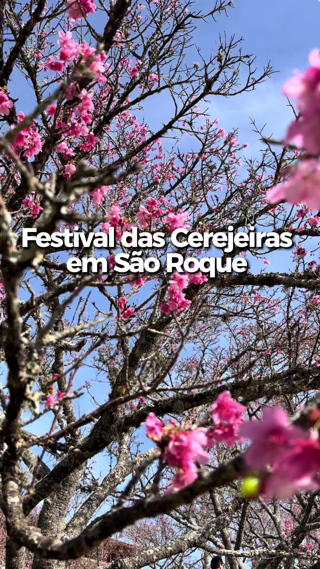 @Portal São Roque 🍁 Dicas