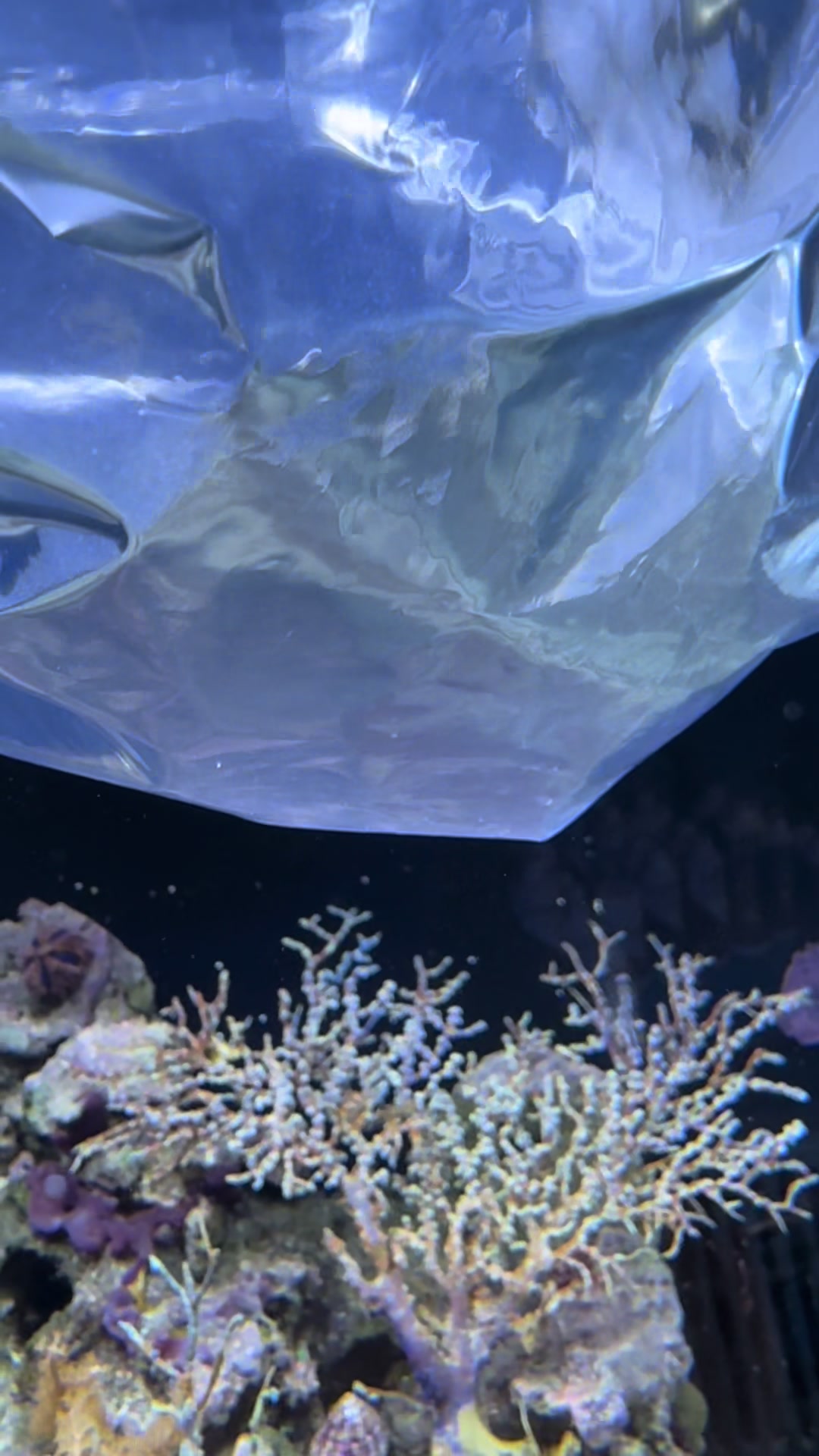 @fintastic aquariums