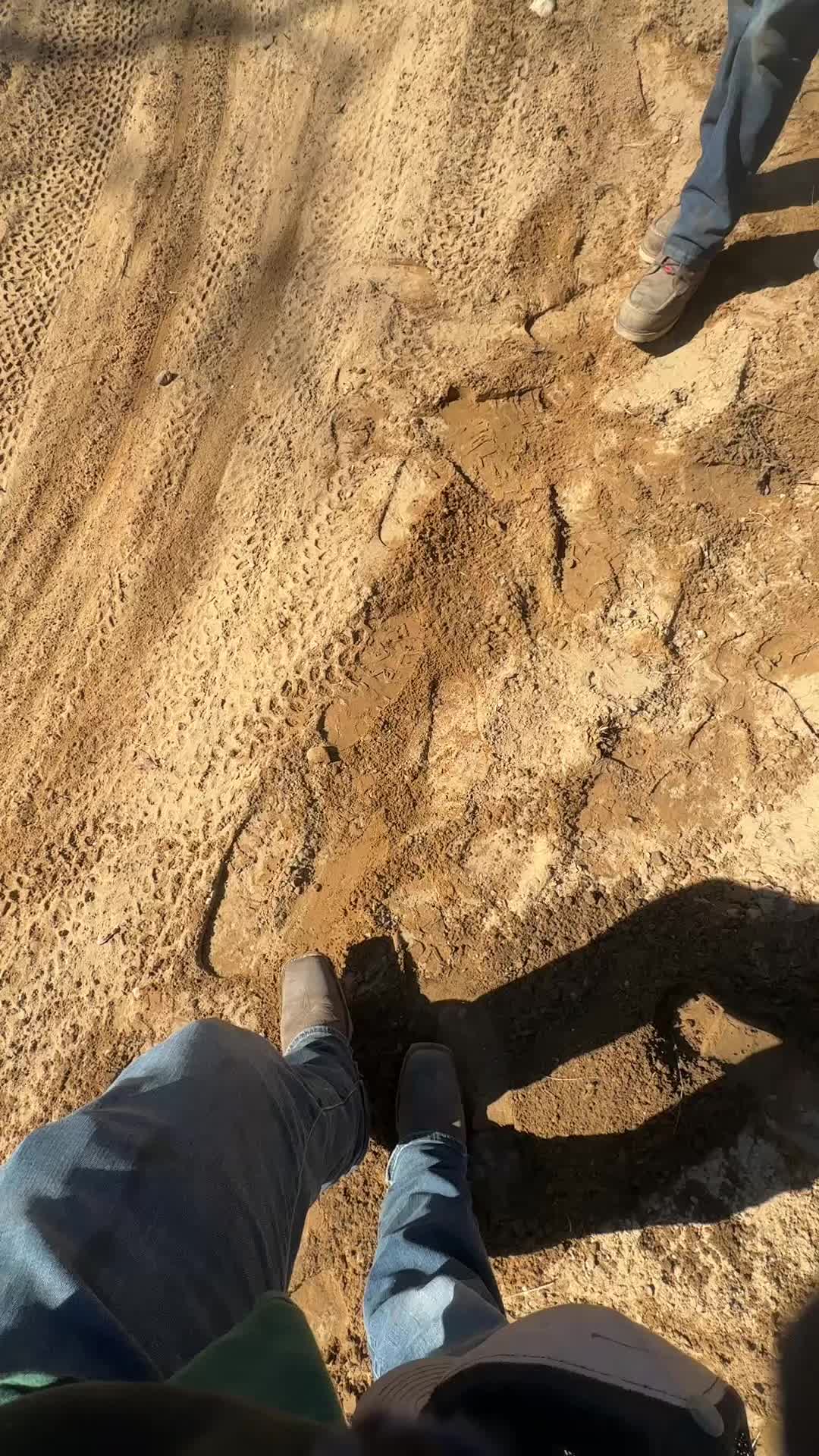 @21_lamsonflimz