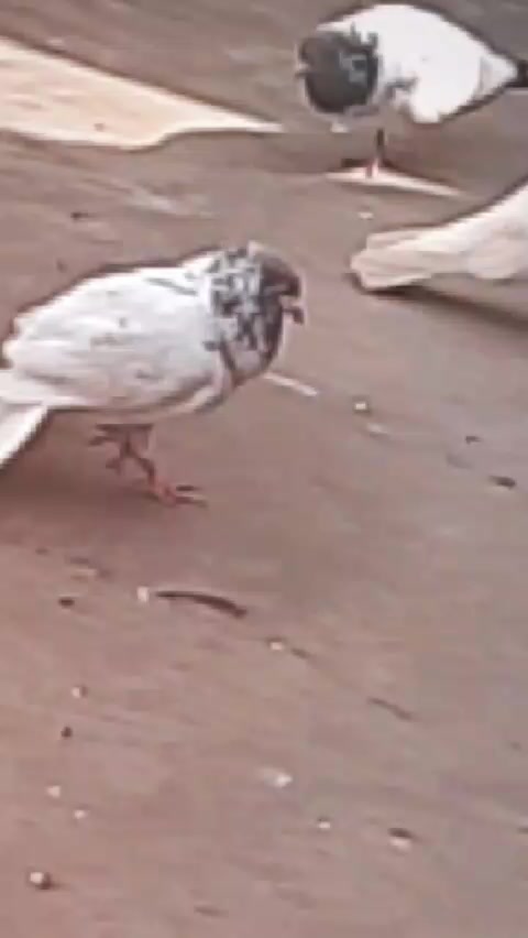 @😈 ARHAM😎 QURESHI ☠️