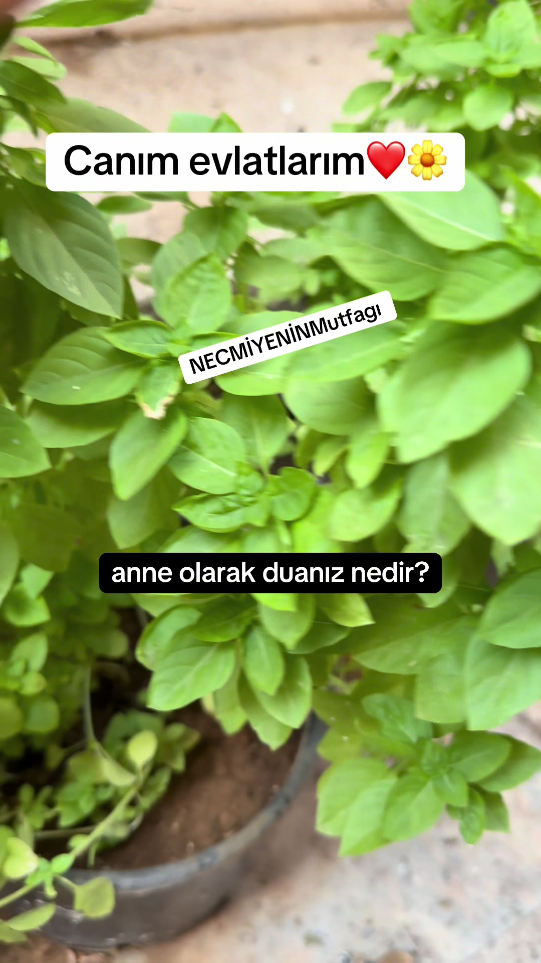 @NECMİYENİN MUTFAĞI