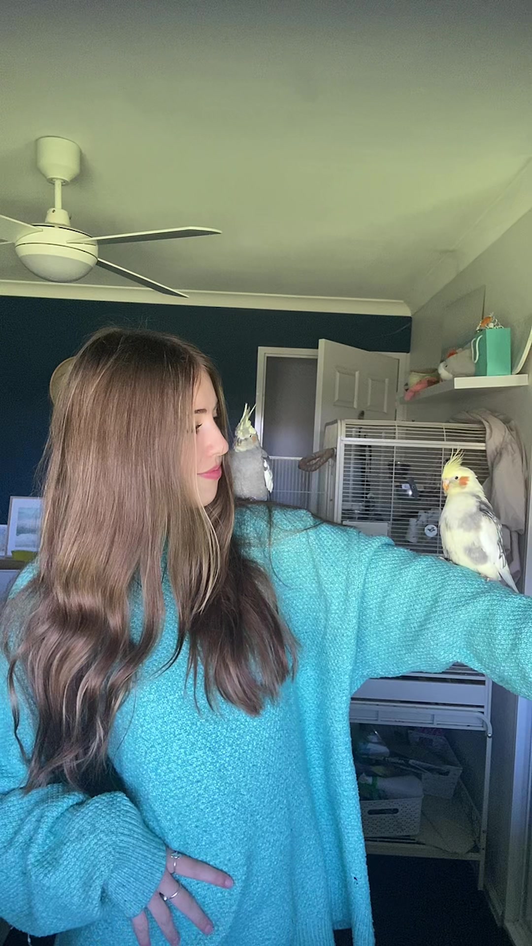 @mybirdjourney;)