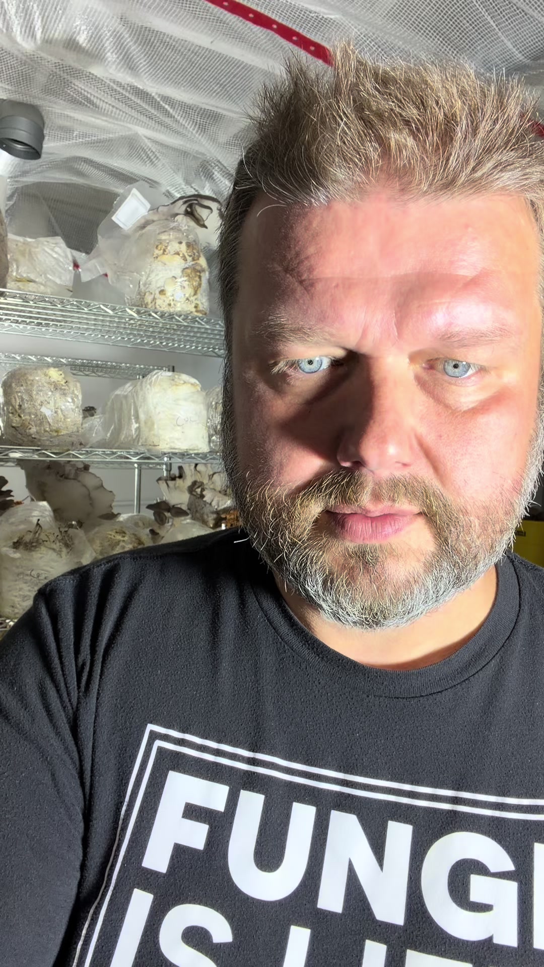 @The Mushroom Hub